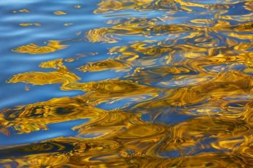waterway;swirled;Emerald Lake;gold;circular;concepts & emotions;Leaf;Water;Shapes;Vermont;movement;Reflection;Riverbed;fall;River Bed;serenity;Vein;ripples;VT;River;Leaves;Reflections;Abstractions;Brook;Rivers;Leafy;Foliage;yellow;Brown;Creek;Aspen;blue;Abstract;modern;circles;Stream;swirling;serene;Patterns;waves;swirl;Textures;autumn